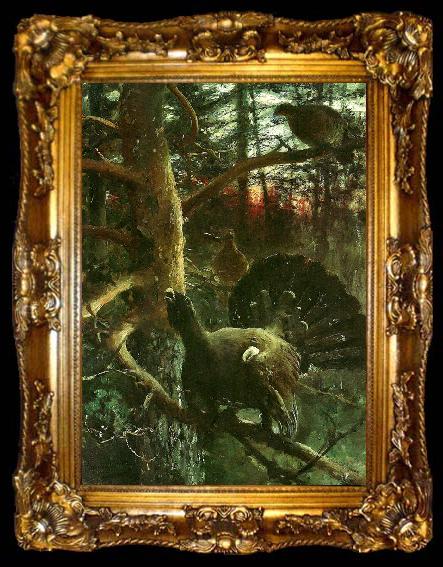 framed  bruno liljefors tjaderlek i gryningsljus, ta009-2